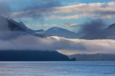 Vancouver Adası, British Columbia, Kanada