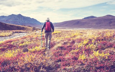 Kutup tundrasında yürüyüş