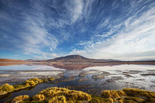 Güney Amerika'da gerçeküstü manzara. Renkli Laguna Colorada Altiplano Bolivya Platosu üzerinde.