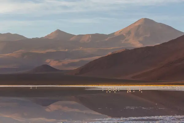 智利北部阿塔卡马沙漠美丽的自然景观 — 图库照片
