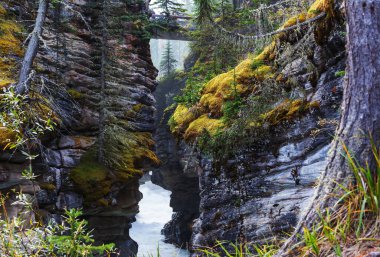 Blue river in narrow canyon in the Canada