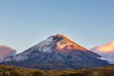 Ekvador, Güney Amerika 'daki güzel Cotopaxi volkanı.
