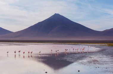 And Dağları 'ndaki Altiplano Gölü, Bolivya, Güney Amerika