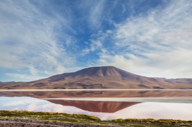 Güney Amerika'da gerçeküstü manzara. Renkli Laguna Colorada Altiplano Bolivya Platosu üzerinde.