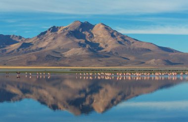 Atacama Çölü, Kuzey Şili 'deki güzel doğal manzaralar.