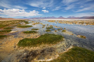 Atacama Çölü, Kuzey Şili 'deki güzel doğal manzaralar.