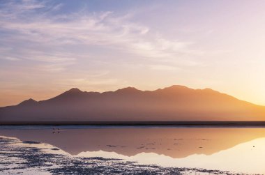 Sunset scene on the lake at sunset summer nature landscapes