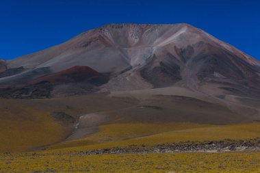 Kuzey Arjantin 'in fantastik manzaraları. Güzel, ilham verici doğal manzaralar. Laguna verde Salar Antofalla 'da.