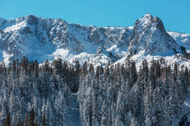 Sierra Nevada Dağının manzarası. Sonbahar sonu manzarası. Kaliforniya, ABD.