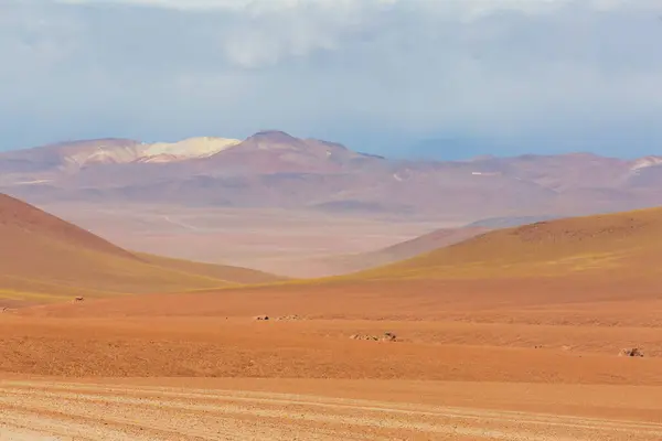 エピック サルバドル ダリ砂漠 ボリビアの珍しい自然景観 — ストック写真