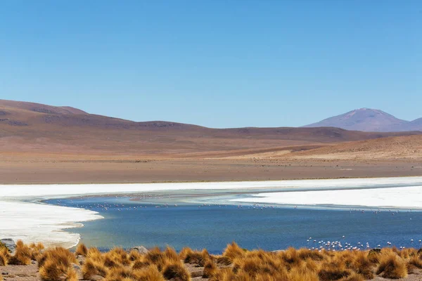 Bellissimi Paesaggi Naturali Nel Deserto Atacama Cile Settentrionale — Foto Stock
