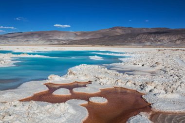 Kuzey Arjantin 'in fantastik manzaraları. Güzel, ilham verici doğal manzaralar. Salar Antofalla 'da Laguna Verde.