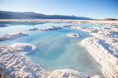 Kuzey Arjantin 'in fantastik manzaraları. Güzel, ilham verici doğal manzaralar. Salar Antofalla 'da Laguna Verde.