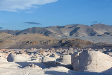 Kuzey Arjantin 'in fantastik manzaraları. Güzel, ilham verici doğal manzaralar. Campo de Piedra Pomez Antofagasta de la Sierra yakınlarında, Puna.