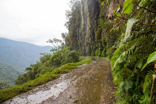 Ünlü Ölüm Yolu Camino Muerte Paz Yakınlarındaki Bolivya Dağlarında — Stok fotoğraf