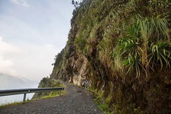 Знаменитая Дорога Смерти Camino Muerte Боливийских Андах Недалеко Паса — стоковое фото