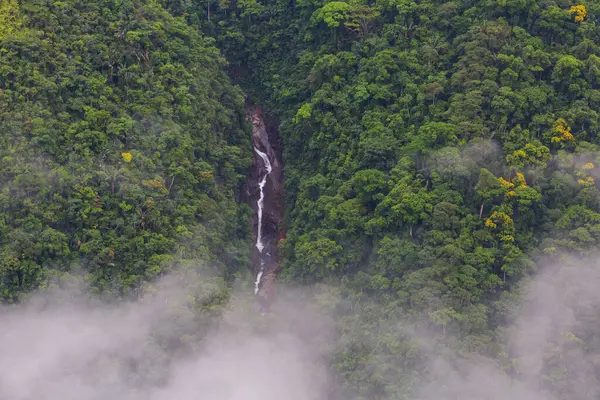 Beautiful Waterfall Jungle Bolivia South America — Stock Photo, Image