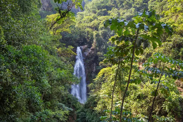 Schöner Wasserfall Dschungel Bolivien Südamerika — Stockfoto
