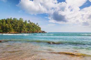 Sri Lanka 'daki güzel tropikal manzaralar. Seyahat ve tatil geçmişi