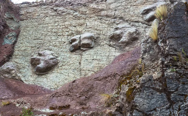 コルディレラ山脈の恐竜の足跡 ペルー — ストック写真