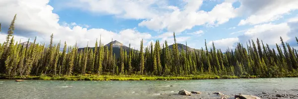 Beautiful Blue River Mountains Alaska Usa — 스톡 사진
