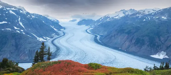 Glacier Saumon Stewart Canada — Photo
