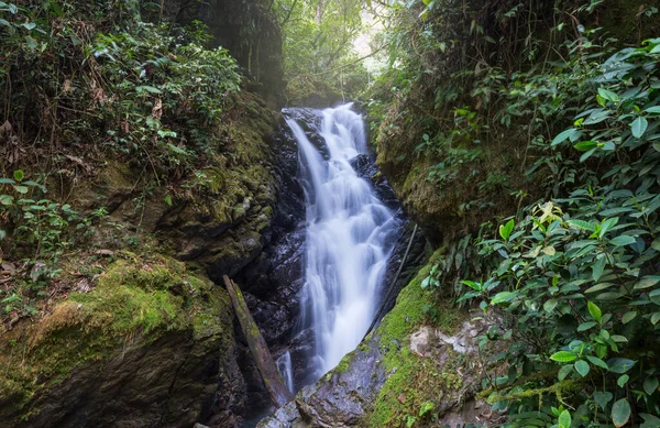 Waterfall in the beautiful green forest