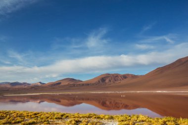 Güney Amerika'da gerçeküstü manzara. Renkli Laguna Colorada Altiplano Bolivya Platosu üzerinde.