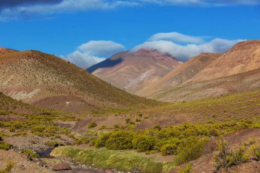 Bolivya altiplanosundaki alışılmadık dağlar Güney Amerika 'yı geziyor.