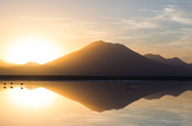 Atacama Çölü, Kuzey Şili 'deki güzel doğal manzaralar.