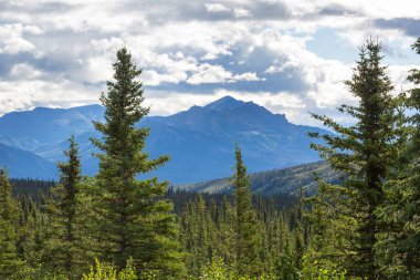 Yazın Alaska 'nın Picturesque Dağları. Kar, kütleleri, buzulları ve kayalık tepeleri kapladı. Güzel doğal arkaplan.