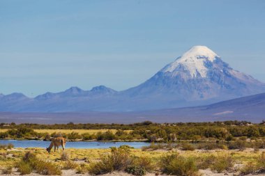 Bolivya altiplanosundaki alışılmadık dağlar Güney Amerika 'yı geziyor.