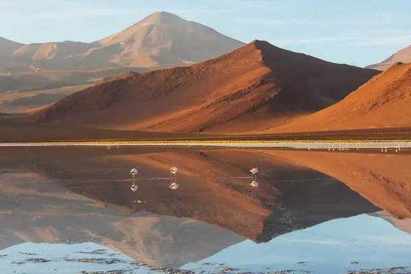 stock image Beautiful natural landscapes in Atacama desert, northern Chile