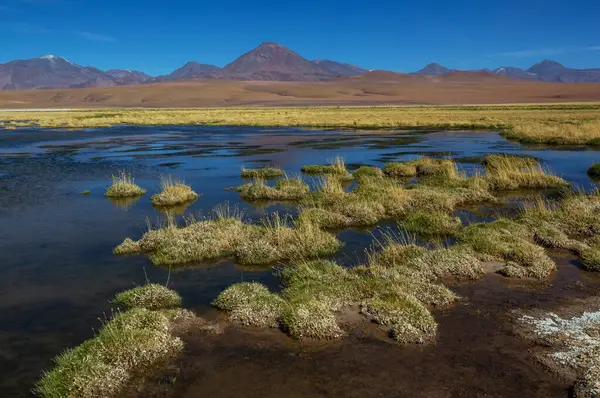 Atacama Çölü, Kuzey Şili 'deki güzel doğal manzaralar.