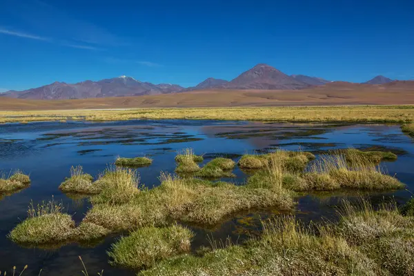 Atacama Çölü, Kuzey Şili 'deki güzel doğal manzaralar.