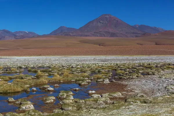 Atacama Çölü, Kuzey Şili 'deki güzel doğal manzaralar.