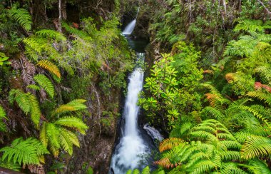 Şili 'de güzel bir şelale, Güney Amerika.