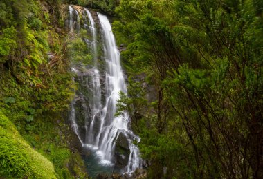 Şili 'de güzel bir şelale, Güney Amerika.