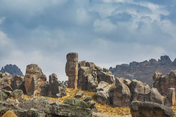 Peru 'daki Doğal Taş Ormanı: Pasco' daki Huallay.