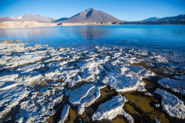 Kuzey Arjantin 'in fantastik manzaraları. Güzel, ilham verici doğal manzaralar. Salar Antofalla 'da Laguna Verde.