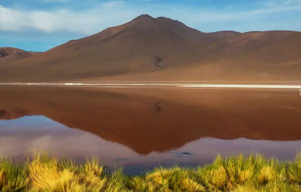 Λίμνη Altiplano Στις Άνδεις Βολιβία Νότια Αμερική — Φωτογραφία Αρχείου