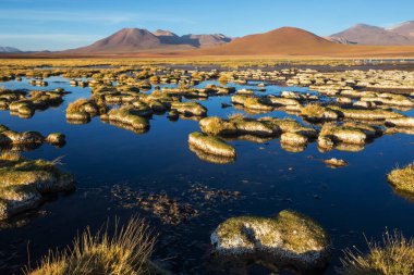 Atacama Çölü, Kuzey Şili 'deki güzel doğal manzaralar.