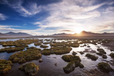 Atacama Çölü, Kuzey Şili 'deki güzel doğal manzaralar.