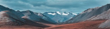 Kutup dairesinin üstündeki Tundra manzaraları