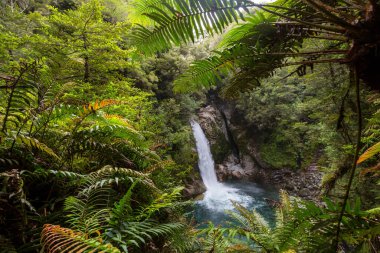 Şili 'de güzel bir şelale, Güney Amerika.