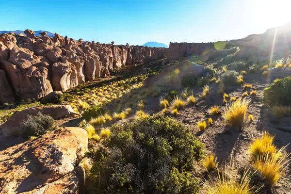 Необычные Скальные Образования Уюни Боливия Геологическое Вуду Валье Рокас — стоковое фото