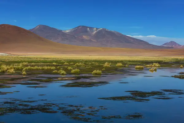 Красиві Природні Пейзажі Пустелі Атакама Північна Чилі — стокове фото