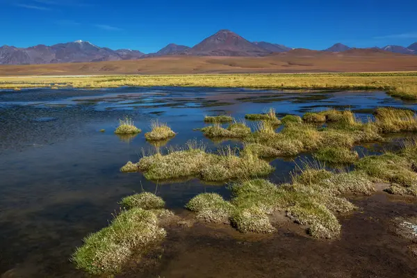 Beautiful Natural Landscapes Atacama Desert Northern Chile — Stock Photo, Image