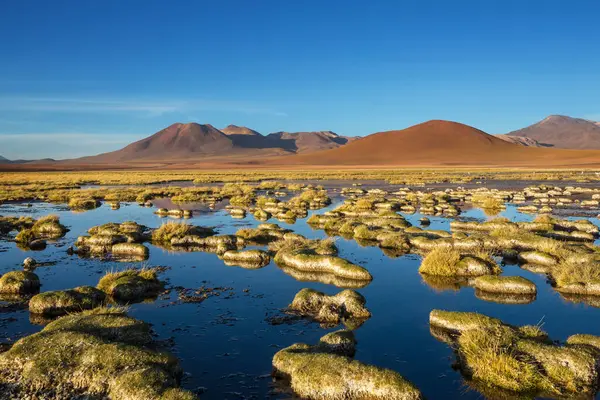 Красиві Природні Пейзажі Пустелі Атакама Північна Чилі — стокове фото