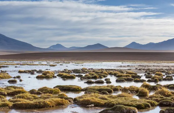 チリ北部のアタカマ砂漠の美しい自然景観 — ストック写真